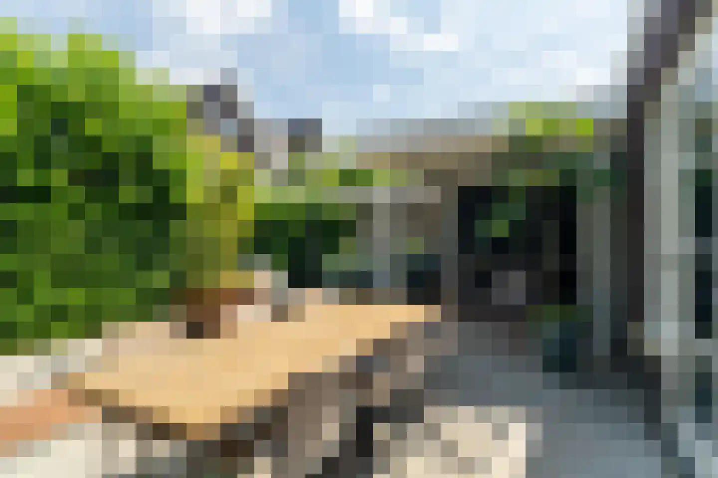 De Klompenmaker 23 Rijswijk (NB) thumbnail 32