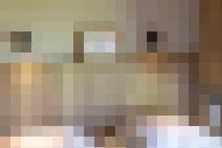 De Klonjes 13 Nes thumbnail 22