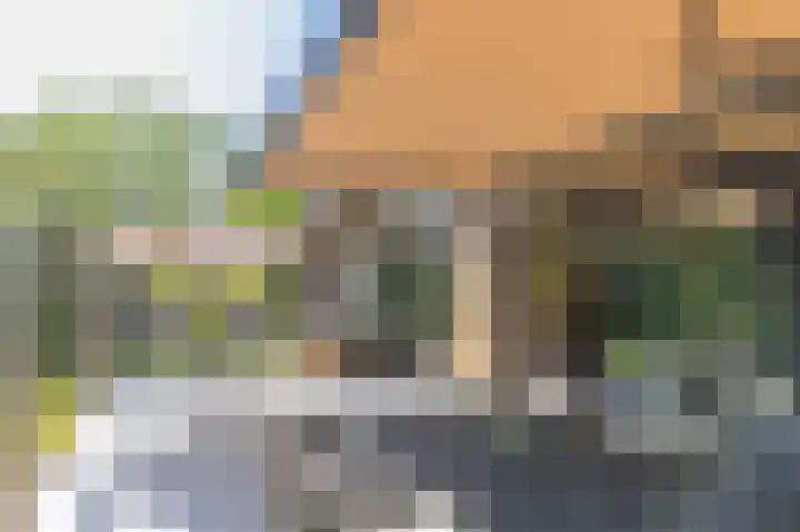 De Klonjes 13 Nes thumbnail 24