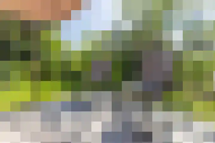 De Klonjes 13 Nes thumbnail 25
