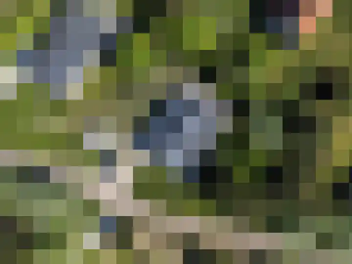 De Klonjes 13 Nes thumbnail 35