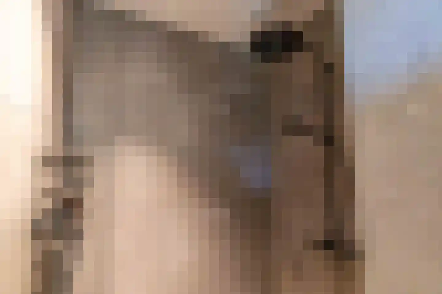De Klonjes 13 Nes (Gem. Ameland) thumbnail 11