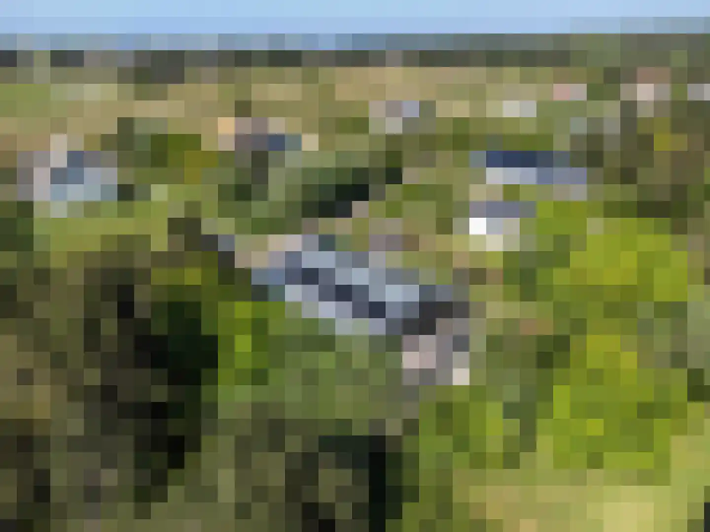 De Klonjes 13 Nes (Gem. Ameland) thumbnail 33