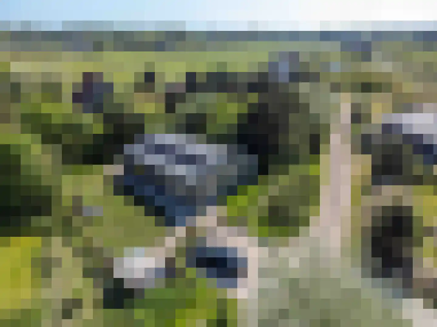De Klonjes 13 Nes (Gem. Ameland) thumbnail 34
