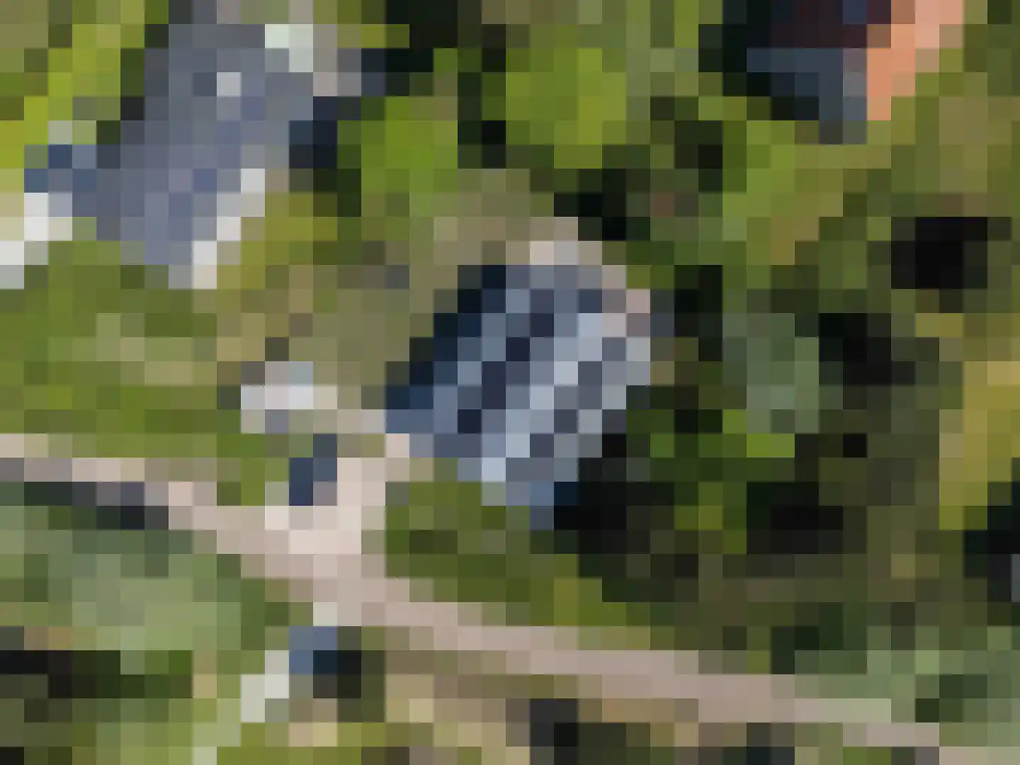 De Klonjes 13 Nes (Gem. Ameland) thumbnail 35