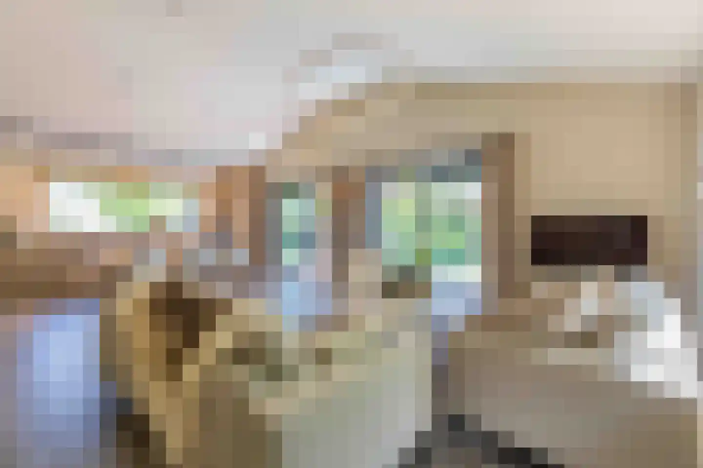 De Klonjes 13 Nes (Gem. Ameland) thumbnail 4