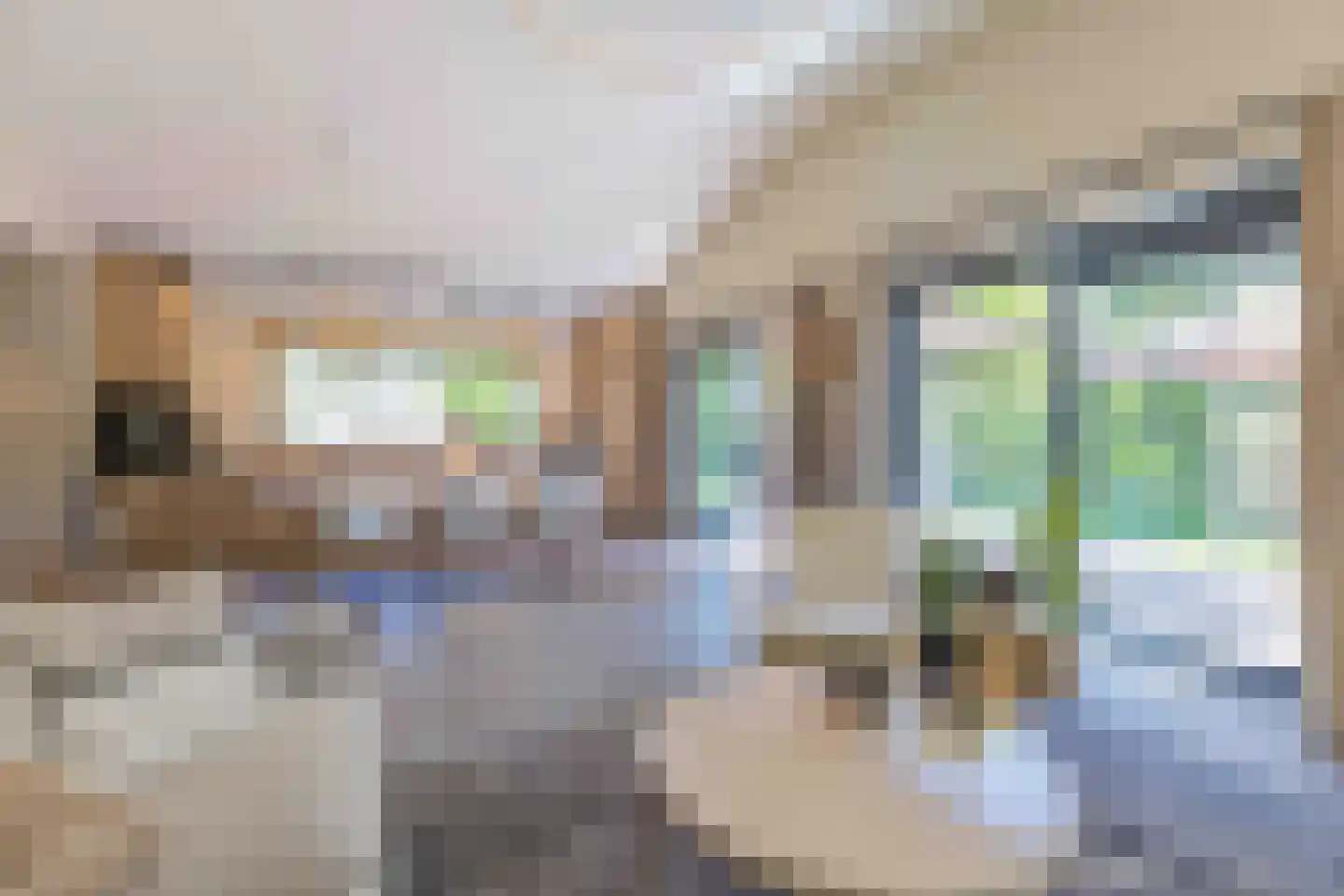 De Klonjes 13 Nes (Gem. Ameland) thumbnail 5
