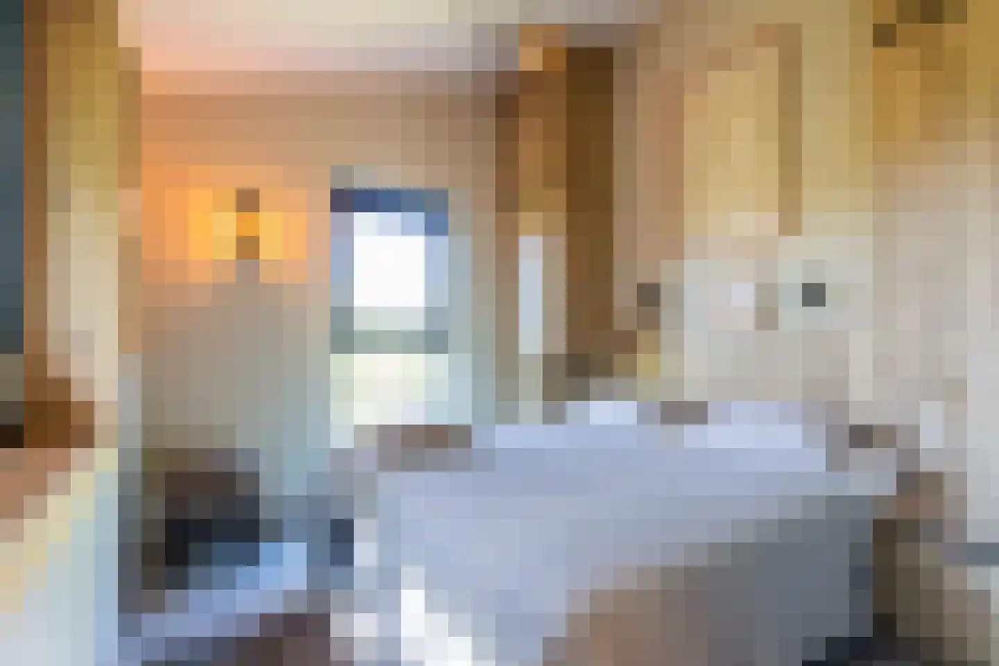De Klonjes 13 Nes (Gem. Ameland) thumbnail 8
