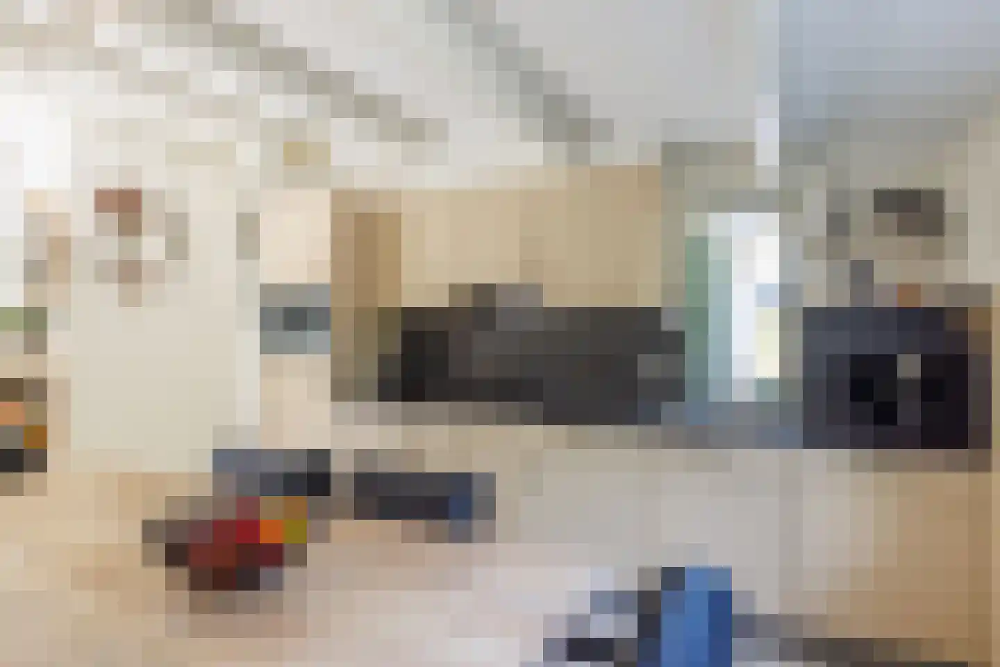 De Klonjes 23 Nes thumbnail 14