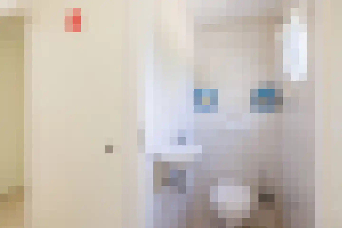 De Klonjes 23 Nes thumbnail 18