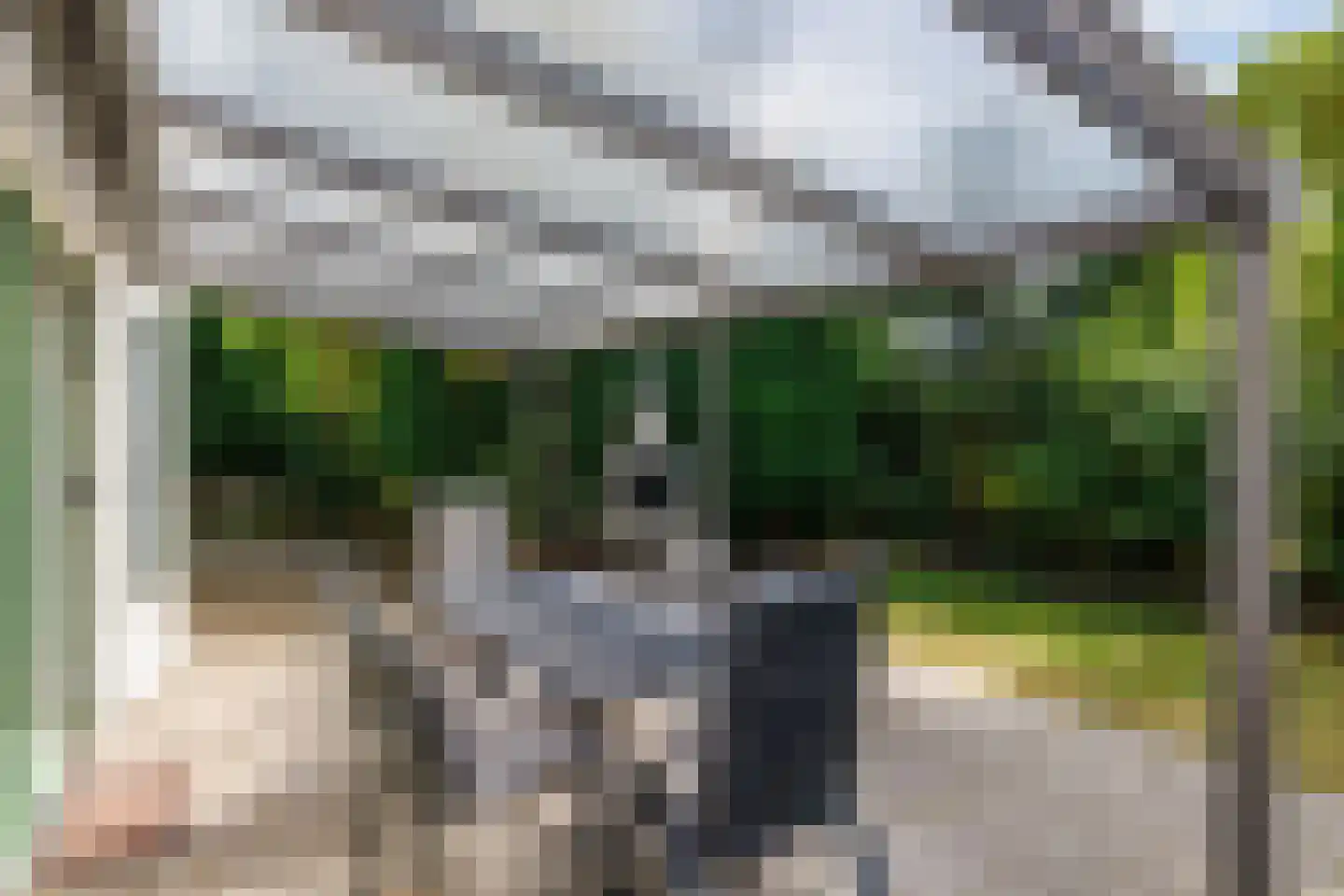 De Klonjes 23 Nes foto 2