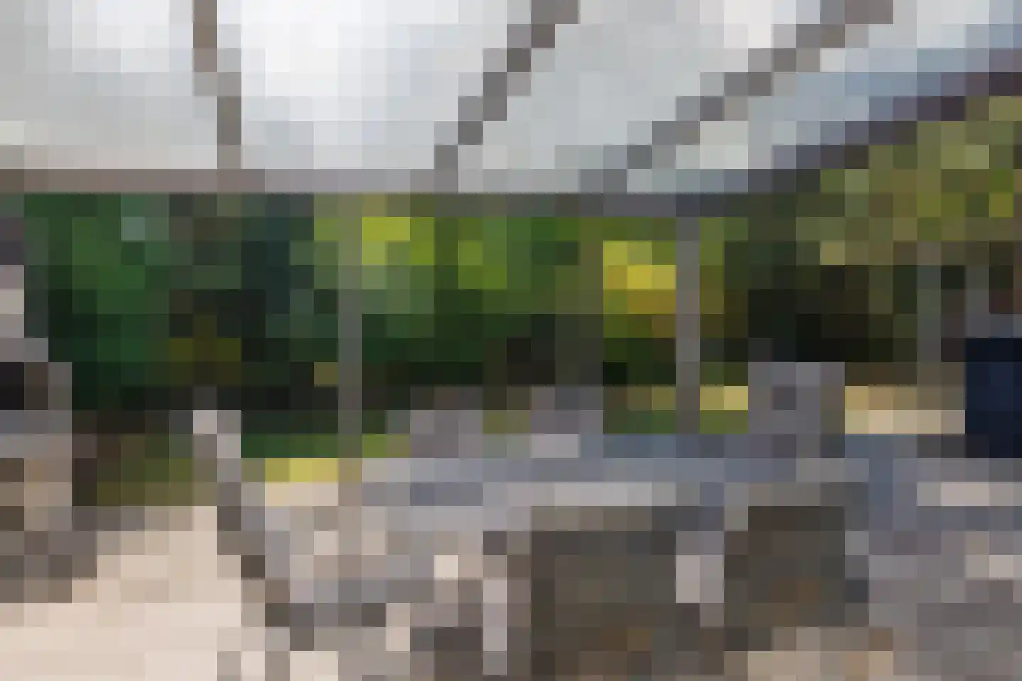 De Klonjes 23 Nes thumbnail 43