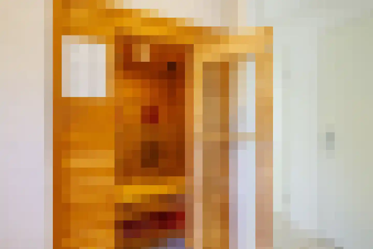 De Klonjes 23 Nes thumbnail 5