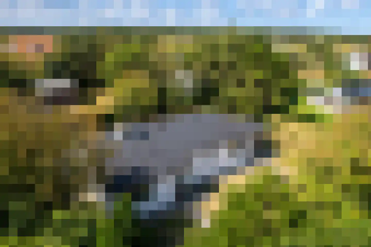 De Klonjes 23 Nes thumbnail 51