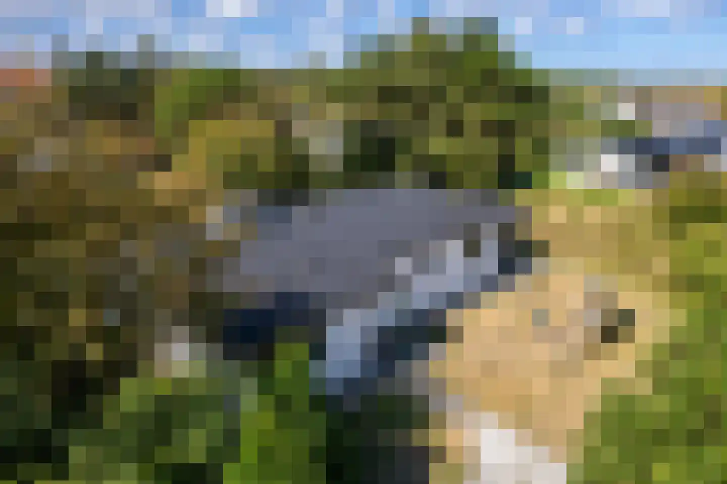 De Klonjes 23 Nes thumbnail 52