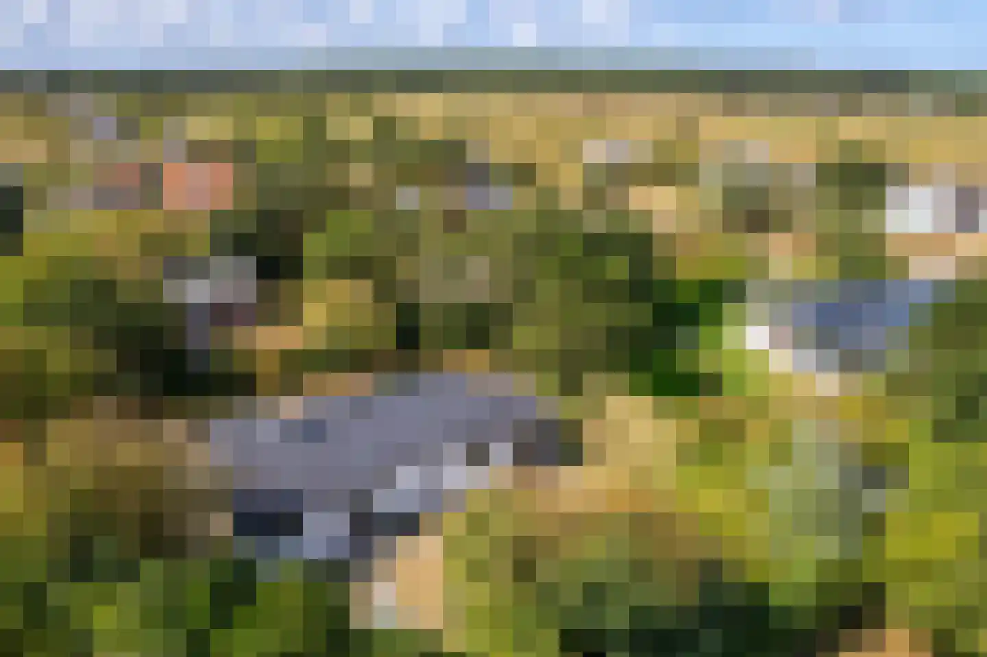 De Klonjes 23 Nes thumbnail 56