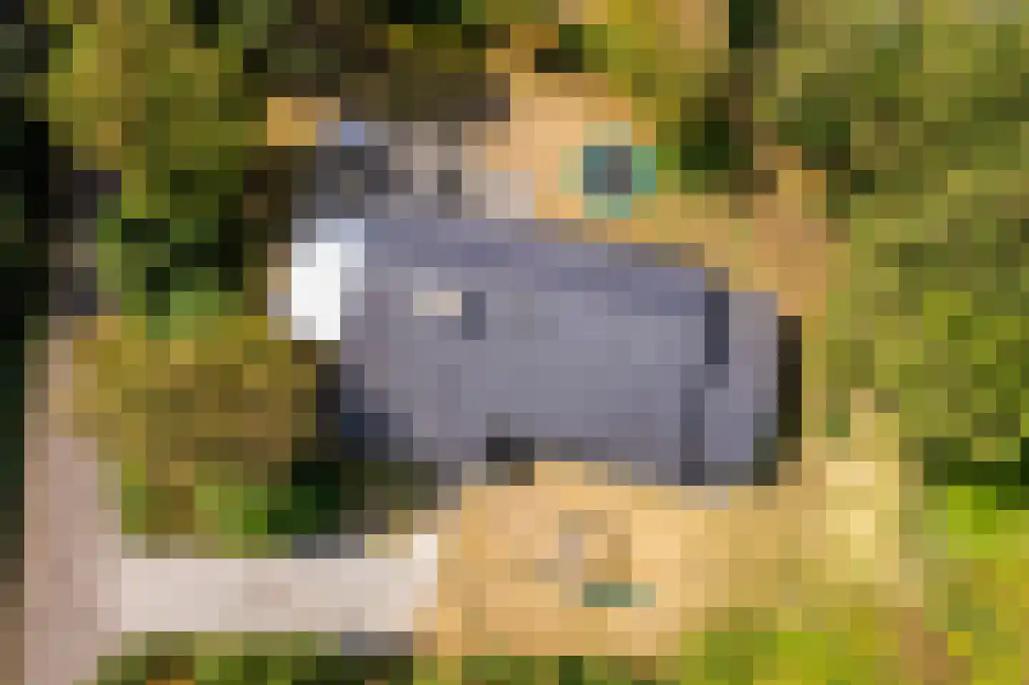 De Klonjes 23 Nes thumbnail 57
