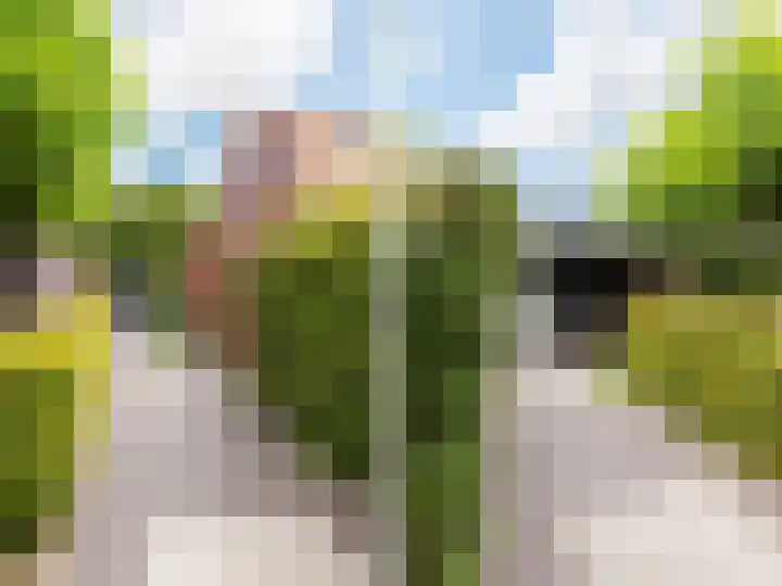 de Kluft 32 Tjalleberd thumbnail 13