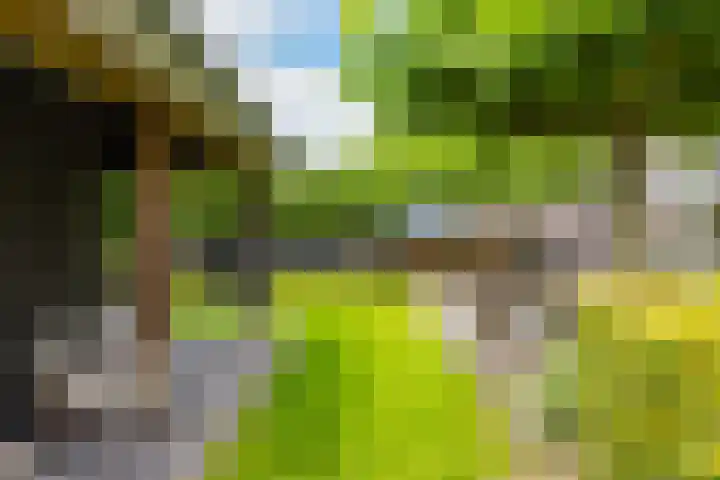 de Kluft 32 Tjalleberd thumbnail 14