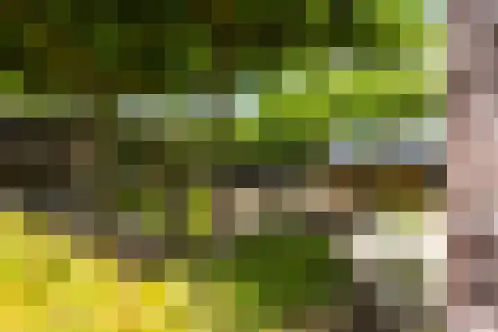 de Kluft 32 Tjalleberd thumbnail 15
