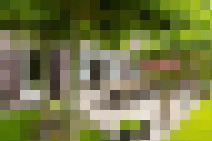 de Kluft 32 Tjalleberd thumbnail 16