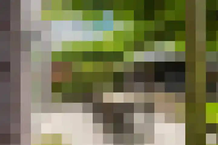 de Kluft 32 Tjalleberd thumbnail 17