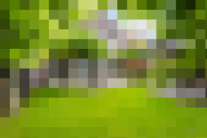 de Kluft 32 Tjalleberd thumbnail 20