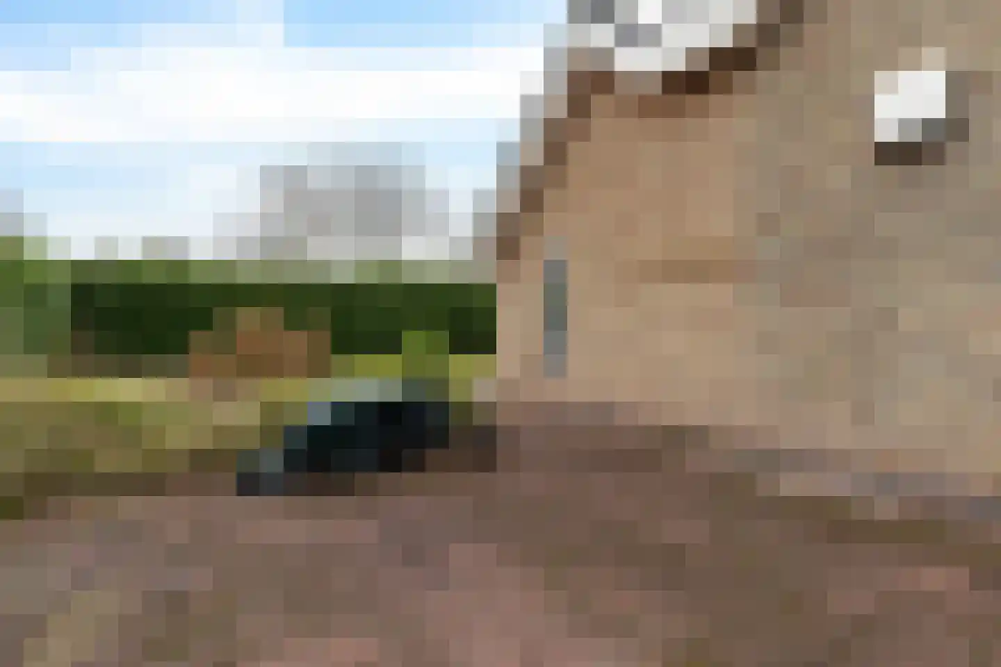 De Kluft 7 Spijk thumbnail 42