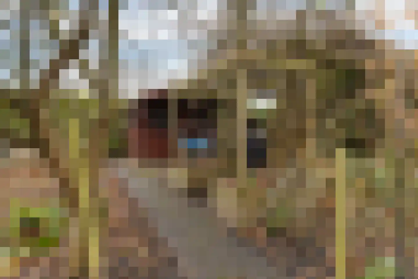 De Kluft 7 Spijk thumbnail 46