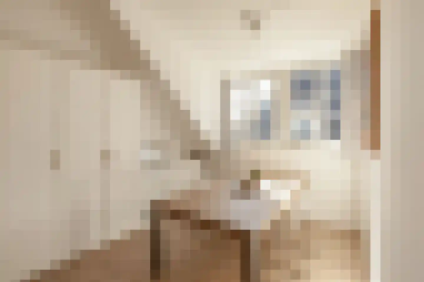 De Kluftstraat 12 Amsterdam thumbnail 22