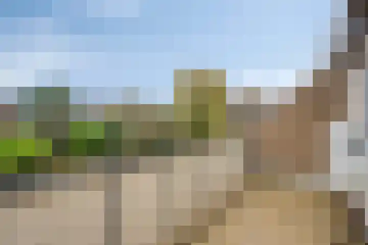 de Kluijskamp 1039 Nijmegen thumbnail 25