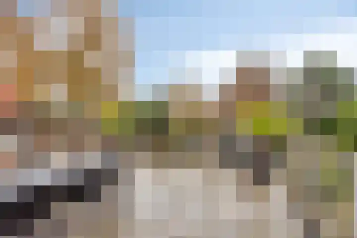 de Kluijskamp 1039 Nijmegen thumbnail 34