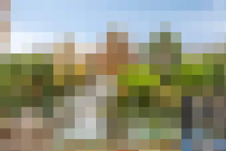 de Kluijskamp 1039 Nijmegen thumbnail 35