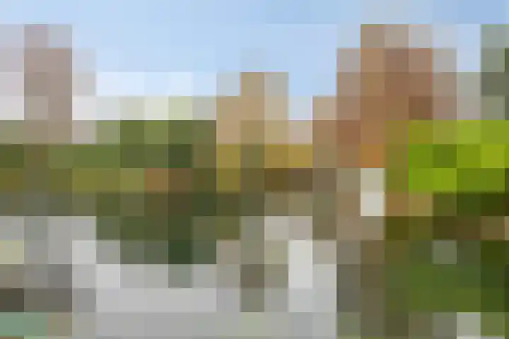 de Kluijskamp 1039 Nijmegen thumbnail 37