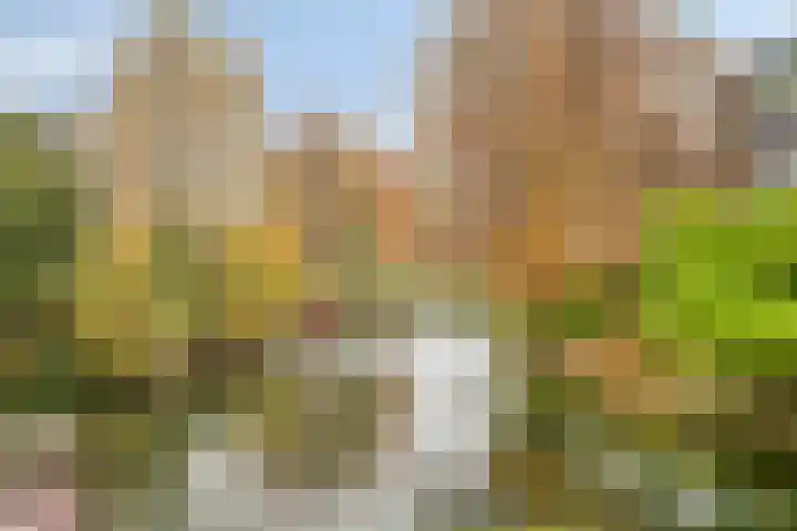 de Kluijskamp 1039 Nijmegen thumbnail 38