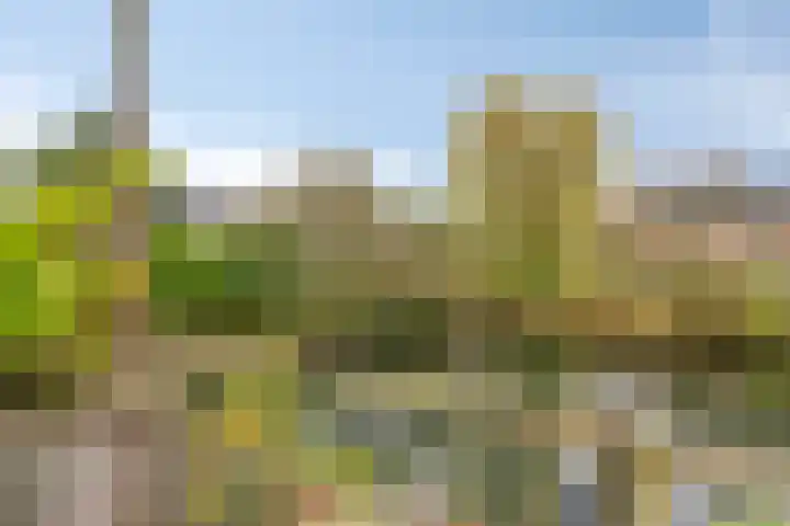 de Kluijskamp 1039 Nijmegen thumbnail 39