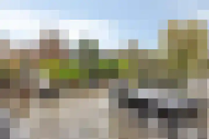 de Kluijskamp 1039 Nijmegen thumbnail 4