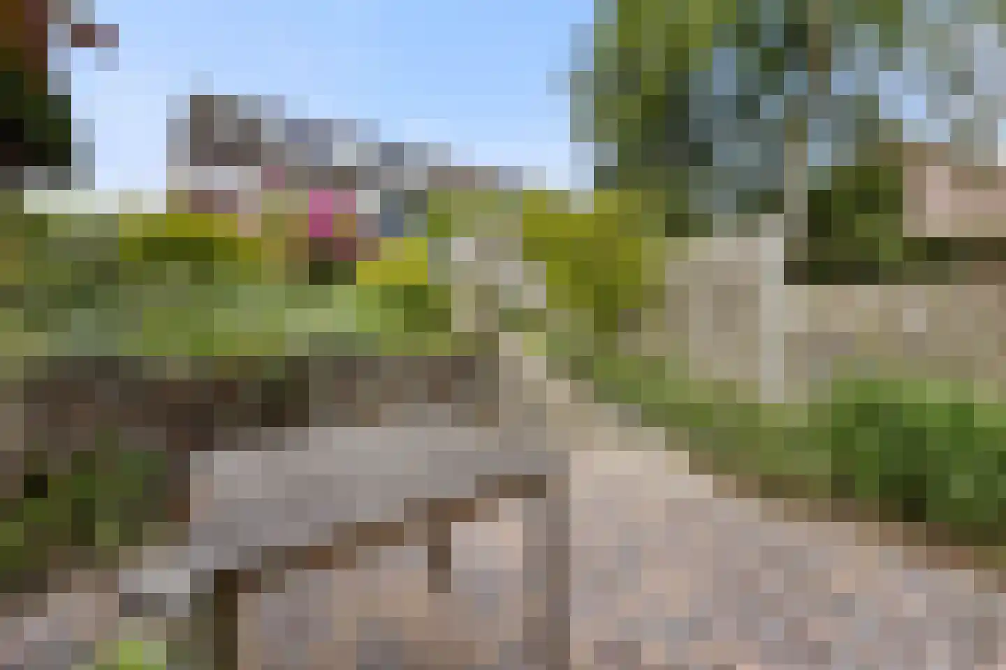 de Kluijskamp 1049 Nijmegen thumbnail 28