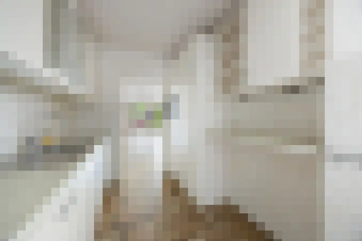 de Kluijskamp 1049 Nijmegen thumbnail 7