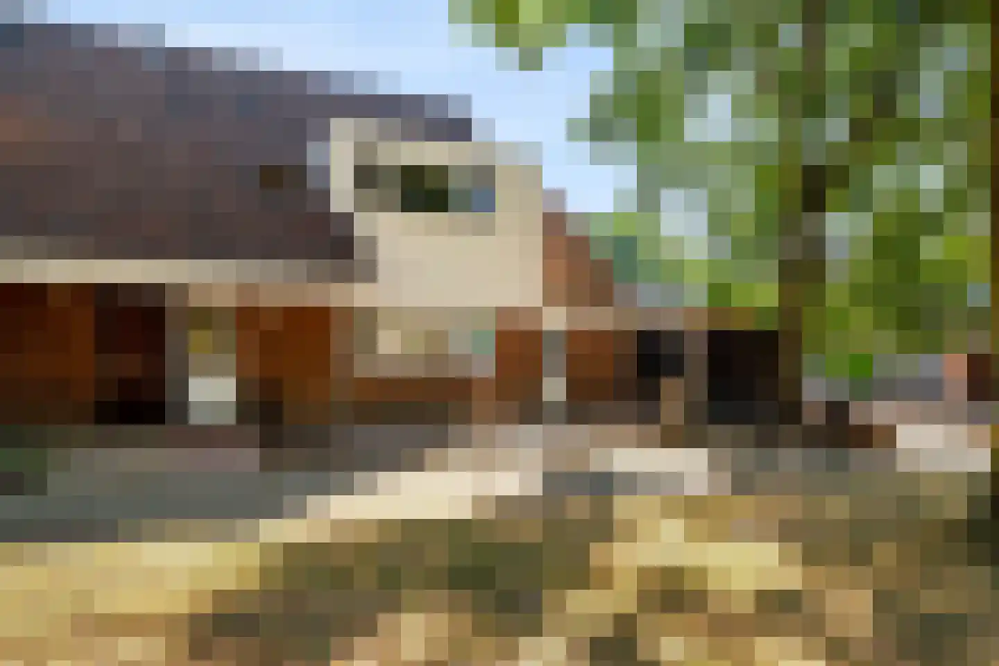 de Kluijskamp 1102 in Nijmegen