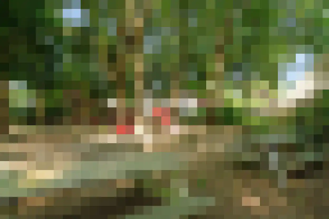 de Kluijskamp 1102 Nijmegen thumbnail 31