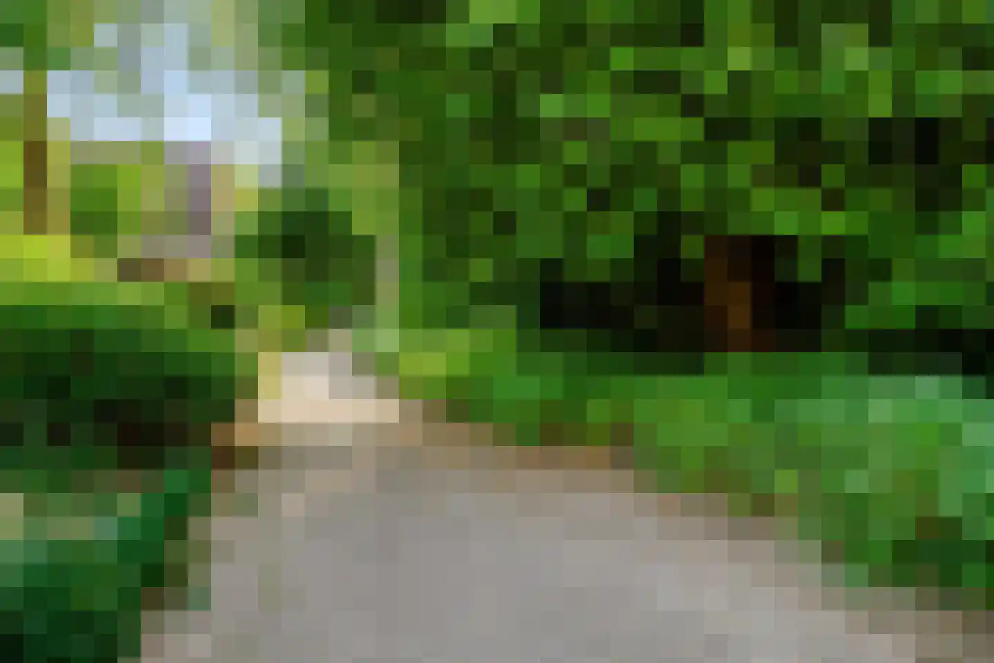 de Kluijskamp 1102 Nijmegen thumbnail 33