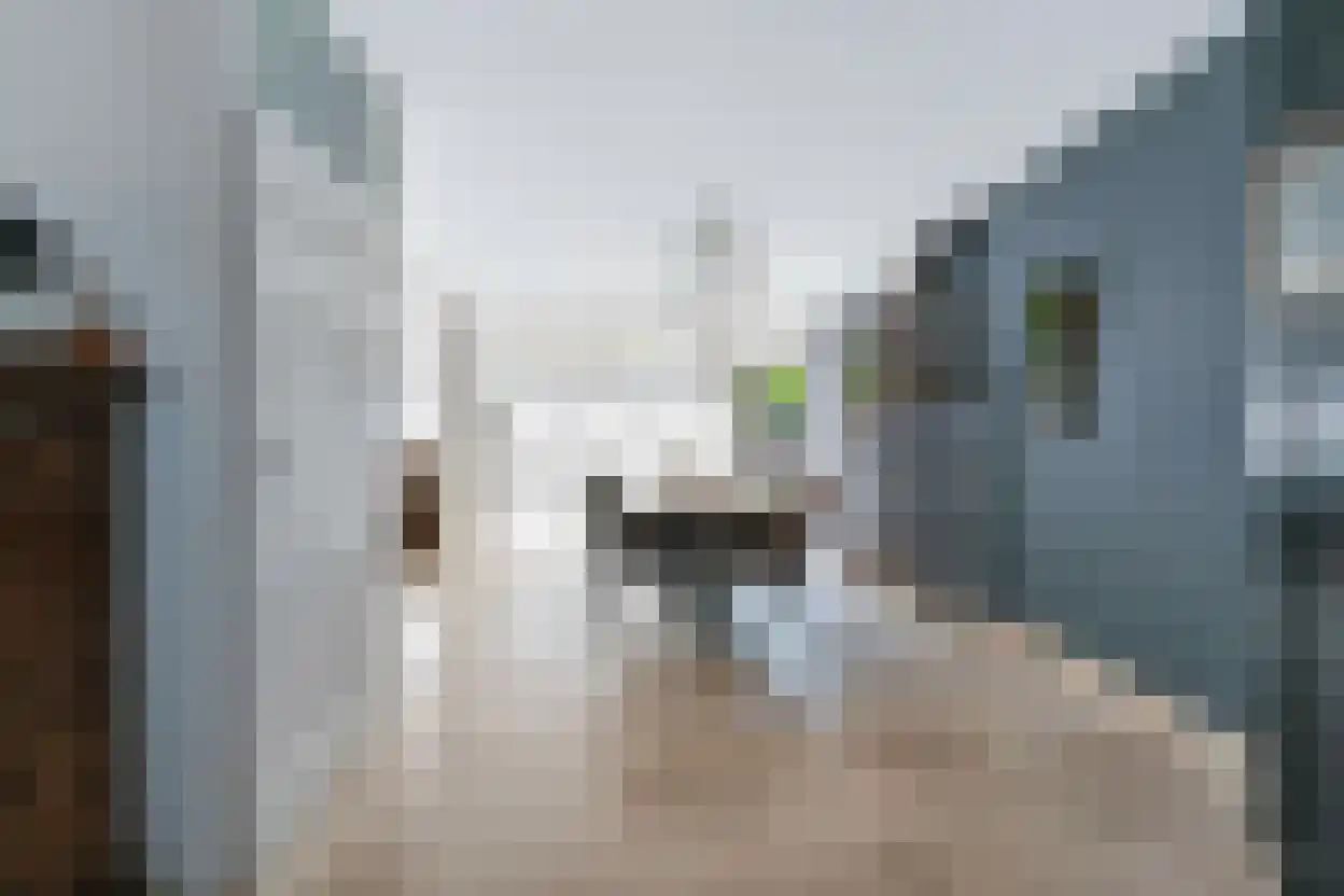 de Kluijskamp 1102 Nijmegen thumbnail 8