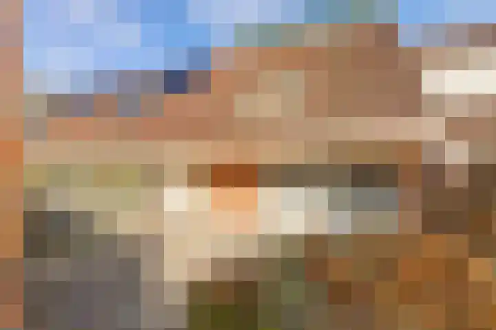 de Kluijskamp 1210 Nijmegen thumbnail 4