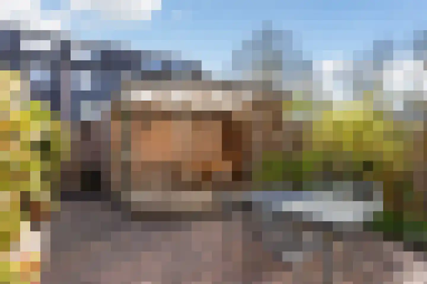 de Kluijskamp 1432 Nijmegen thumbnail 17