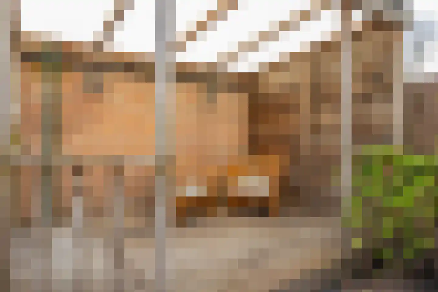 de Kluijskamp 1432 Nijmegen thumbnail 19