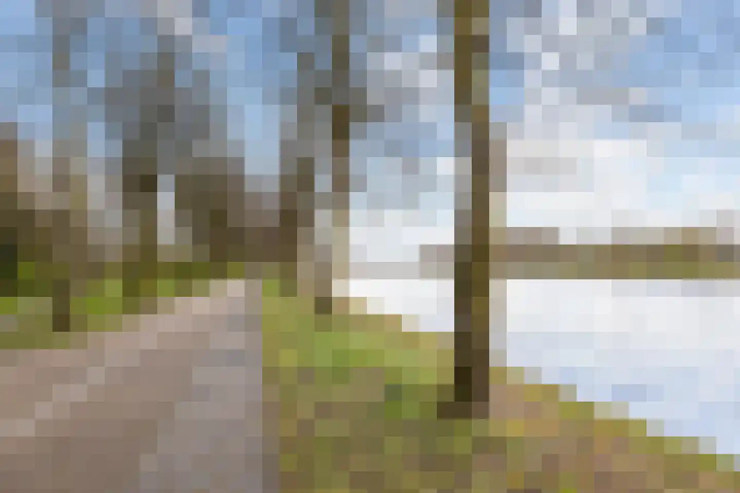 de Kluijskamp 1432 Nijmegen thumbnail 21