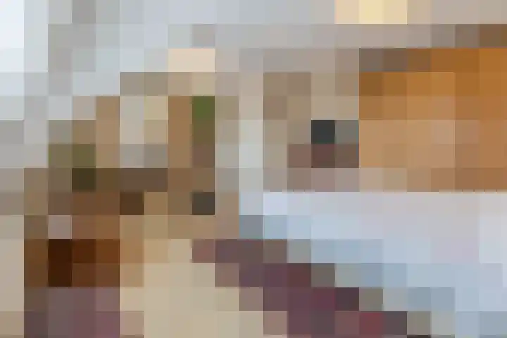 de Kluis 20 Heeze thumbnail 20