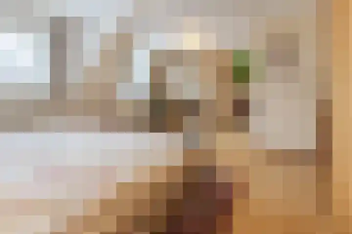 de Kluis 20 Heeze thumbnail 22