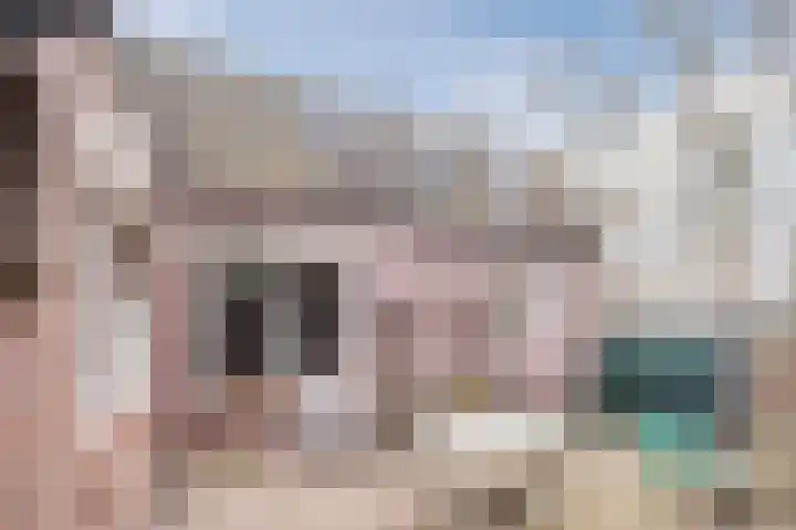 de Kluis 20 Heeze thumbnail 26